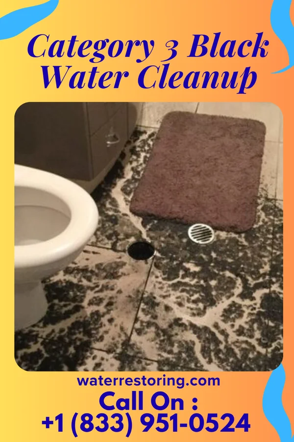 Category 3 Black Water Cleanup in Twin Valley, MN